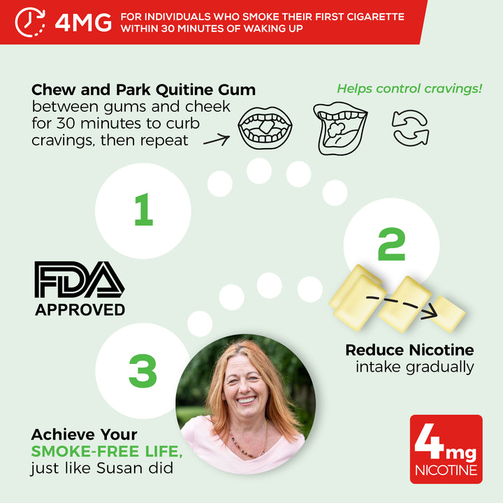4mg Traditional Nicotine Gum Mint - Quitine