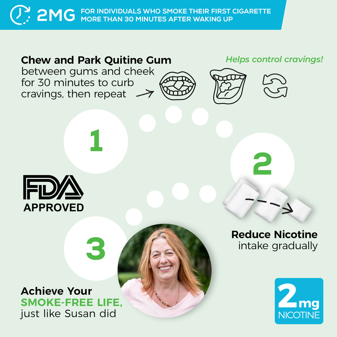 2mg Traditional Nicotine Gum Mint | 240 Count