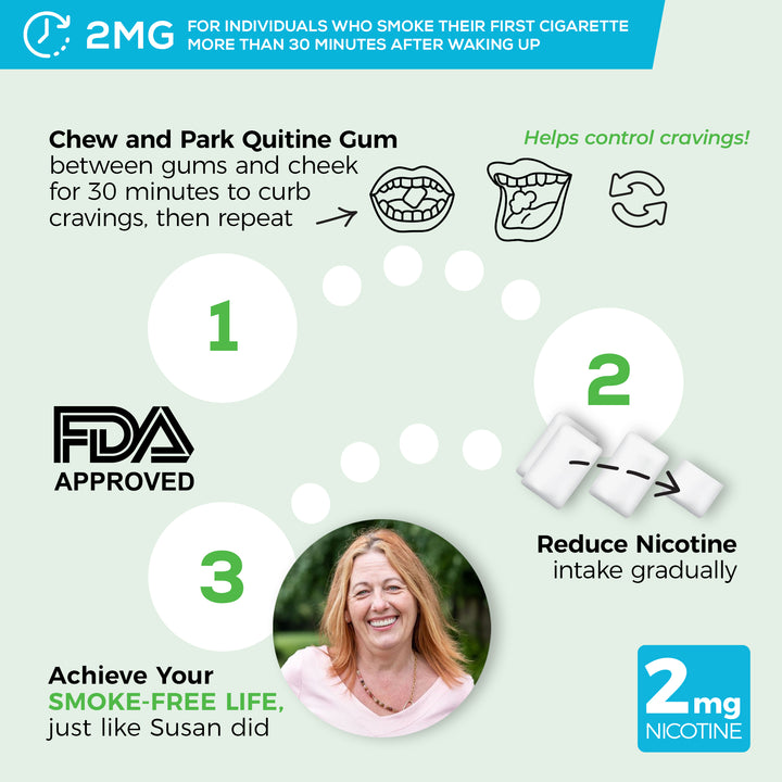 2mg Traditional Nicotine Gum Mint | 240 Count