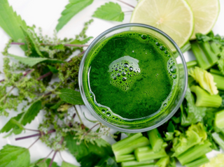 Smoking's Effect on the Immune System and Infection Susceptibility