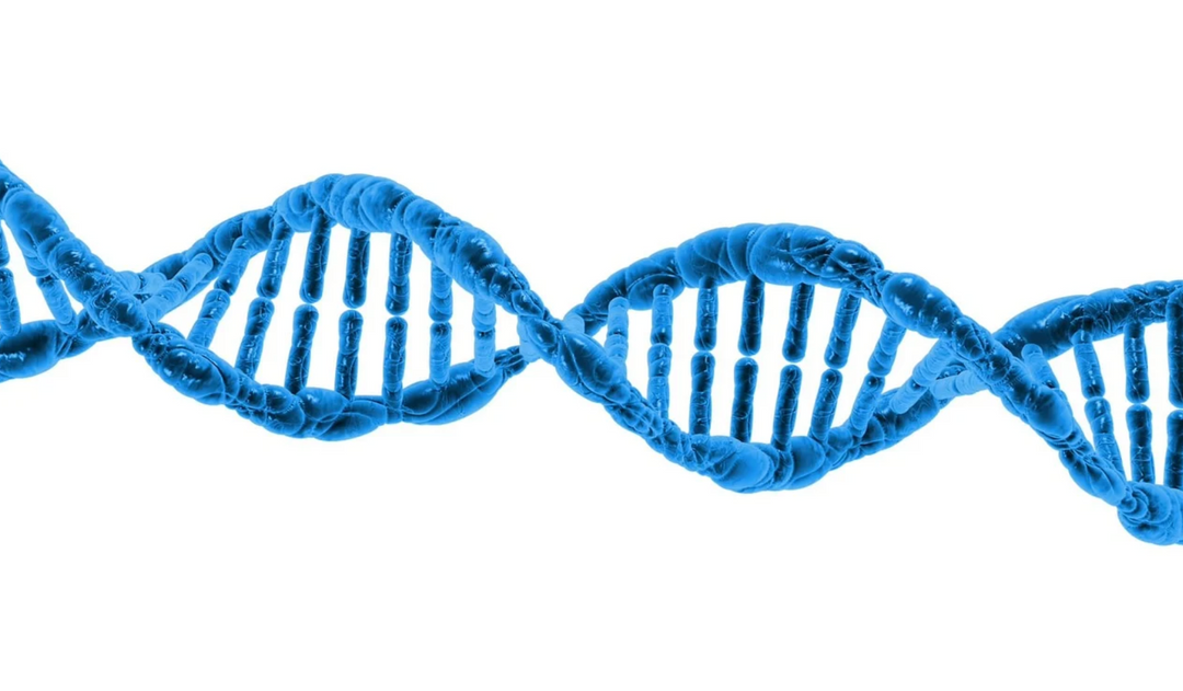 The Specific Cellular and DNA Damage Caused by Tobacco Smoke Carcinogens - Quitine