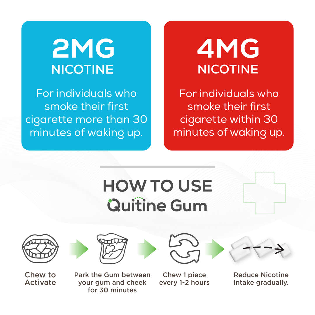 Quitine Nicotine Gum 2mg Traditional Fruit 240 Pieces