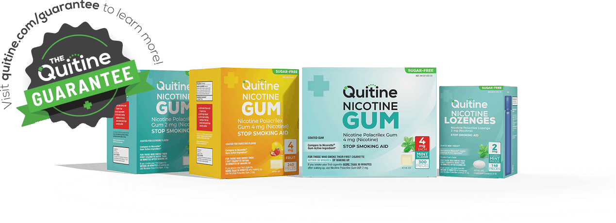 Quitine promotional image