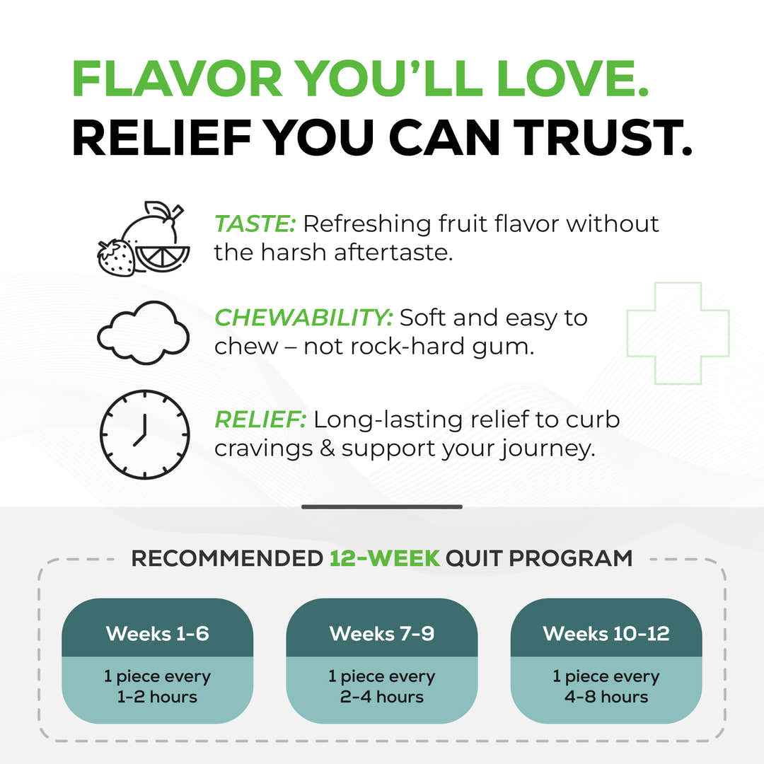 Quitine Nicotine Gum 4mg Traditional Fruit 240 Pieces