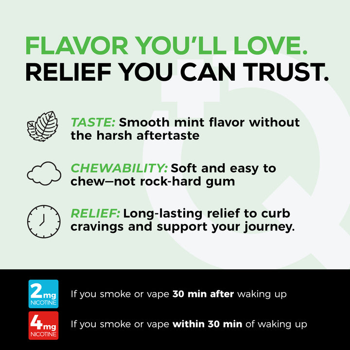 2mg Traditional Nicotine Gum Mint | 240 Count