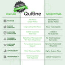 Quitine Nicotine Gum 2mg Traditional Mint 240 Pieces